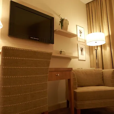 Ambassador Hotel 4*