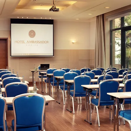 Hotel Ambassador 4*